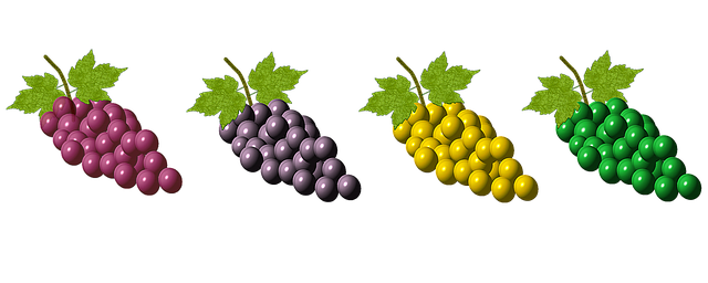 Free grapes fruit food illustration