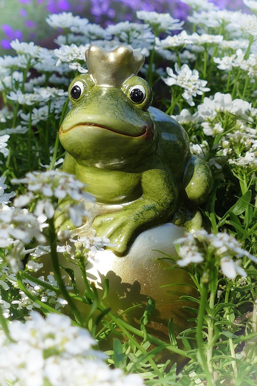 Принц лягушка смешные картинки
