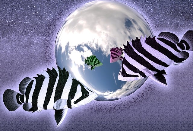 Free fishes mirror effect digital art illustration