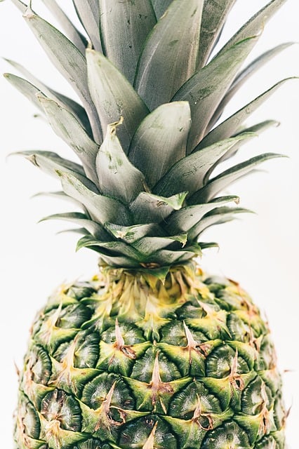 Free pineapple green pine illustration