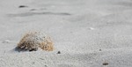 sand, sea, beach