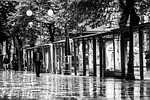 black and white, street, avenue