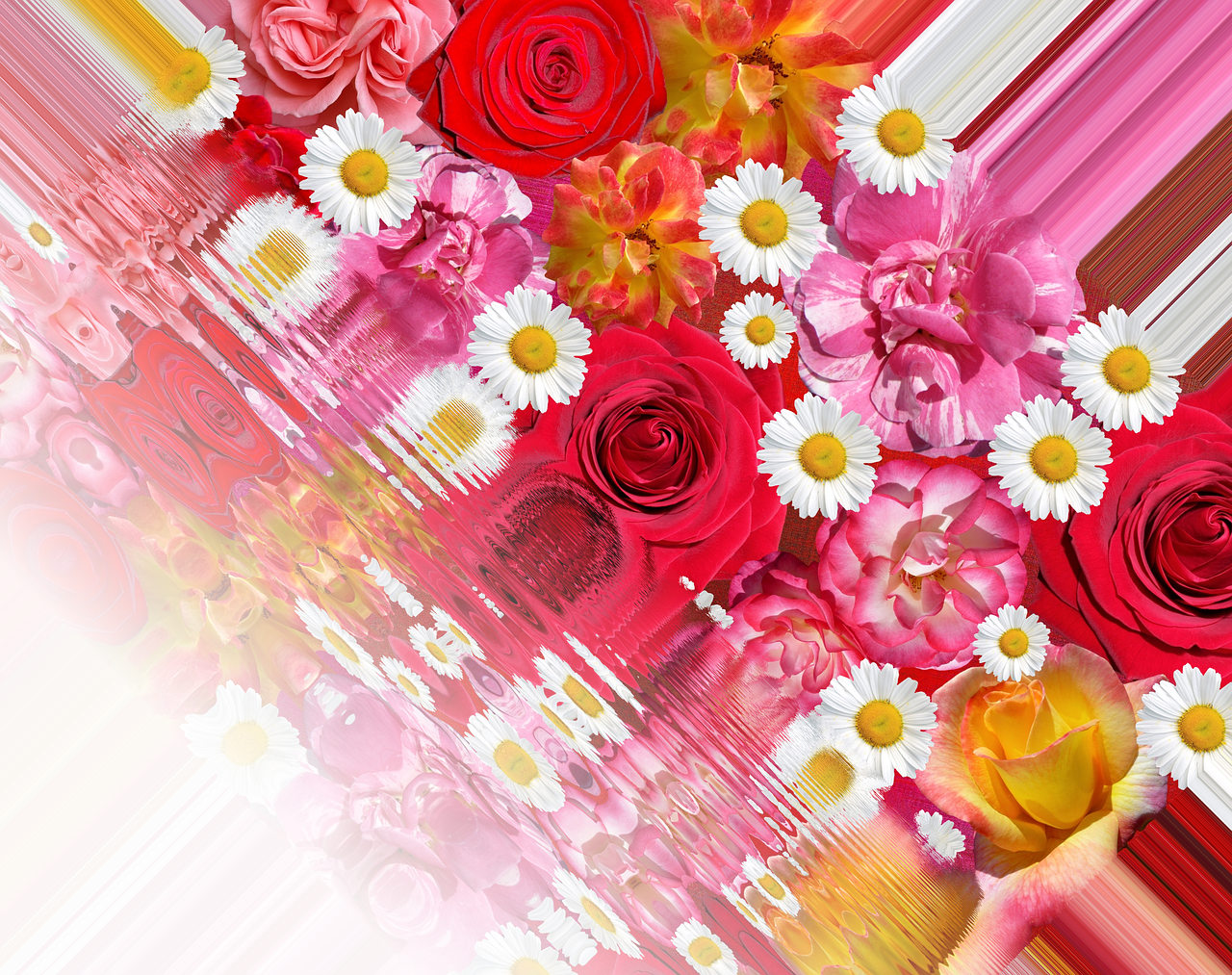 Download free HD stock image of Blossoms Effect Free blossoms effect summer illustration