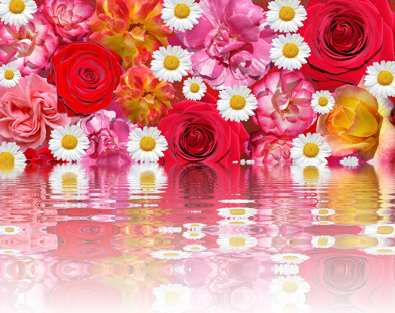 Download free HD stock image of Blossoms Effect Free blossoms effect summer illustration