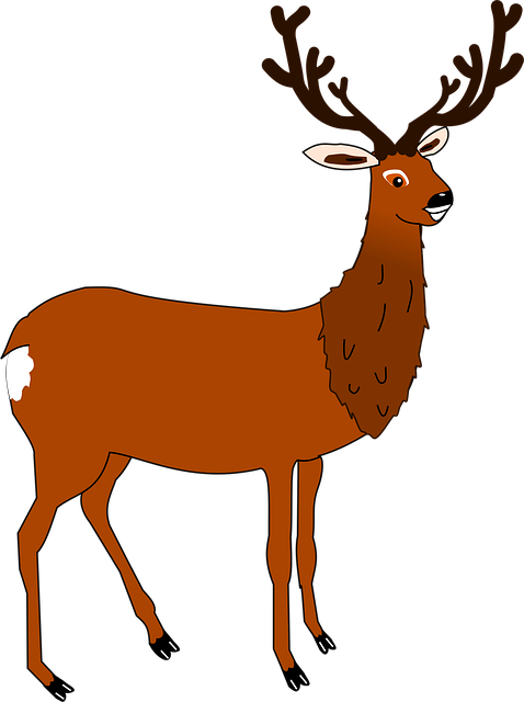 Free Deer Roe vector and picture