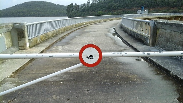 Free Advice Safety photo and picture