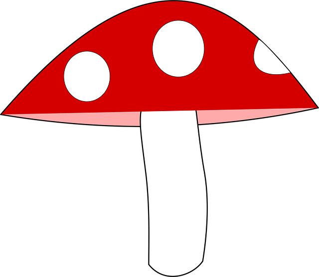 Free Mushroom Agave vector and picture