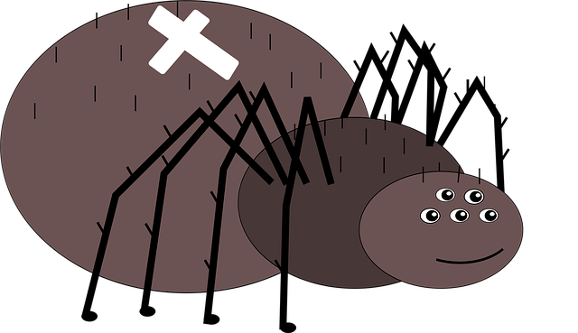 Free Crusader Spider vector and picture