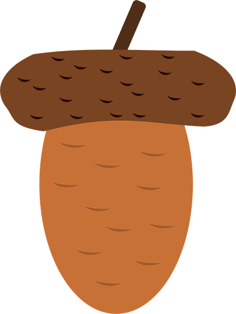 Free Acorn Oak Tree vector and picture