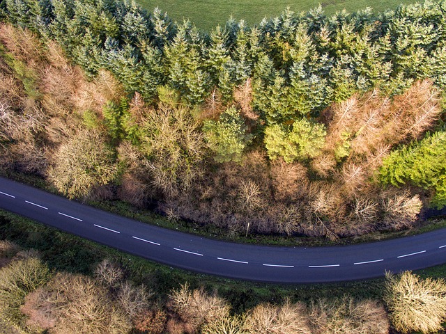 Free Road Ariel photo and picture