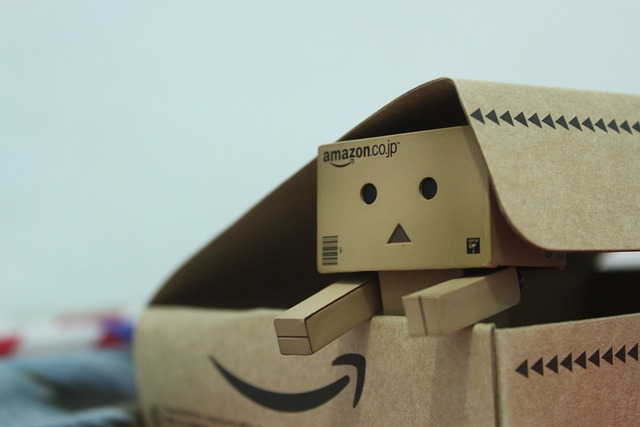 Free Danbo Action Figure photo and picture