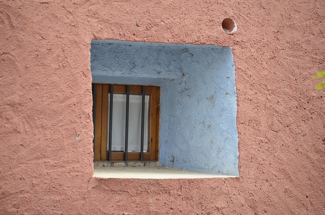 Free Window People photo and picture