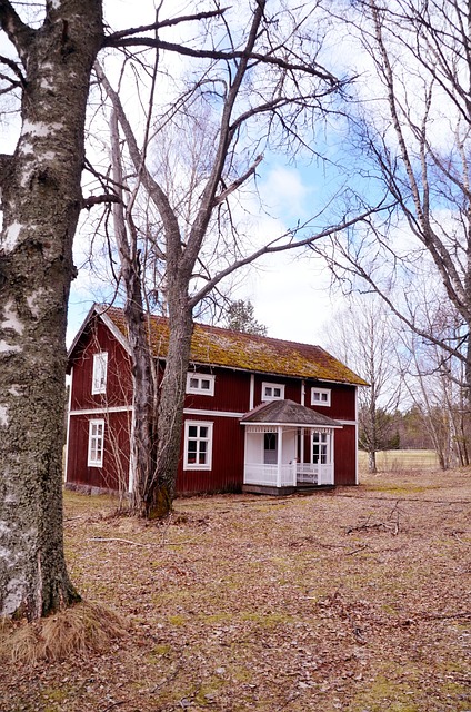 Free Internal Ultervattnet House photo and picture