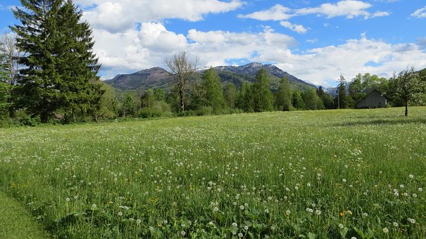 Free Grünau Meadow photo and picture