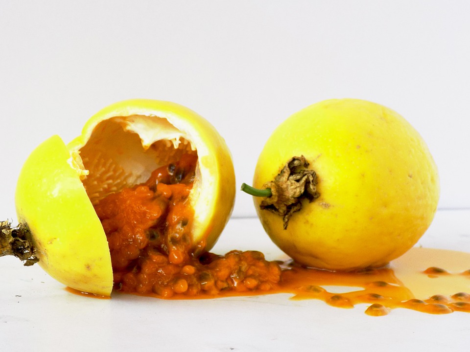 frutas te ajudam a perder peso