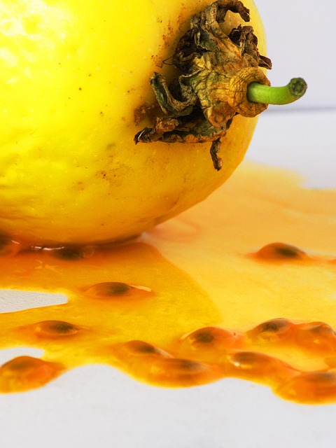 Free Passion Fruit Fruits photo and picture