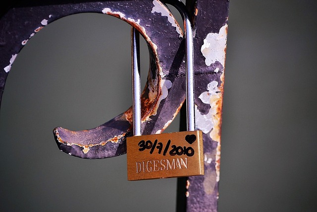 Free Padlock Love photo and picture