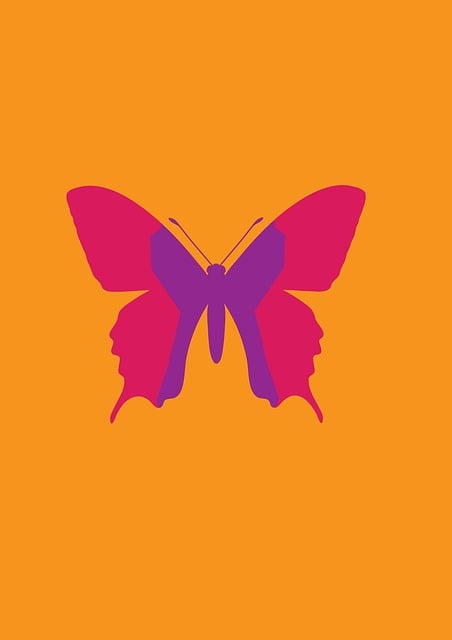 Free butterfly wings insect illustration