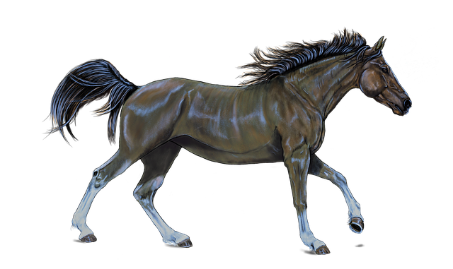 Free digital drawing painting drawing illustration
