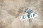 cartel, teaches, road dolphin
