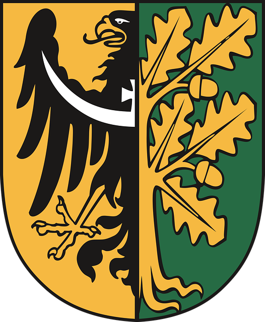 Våpenskjold, Distriktet Wałbrzyski