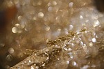 bokeh, sparkle, gold