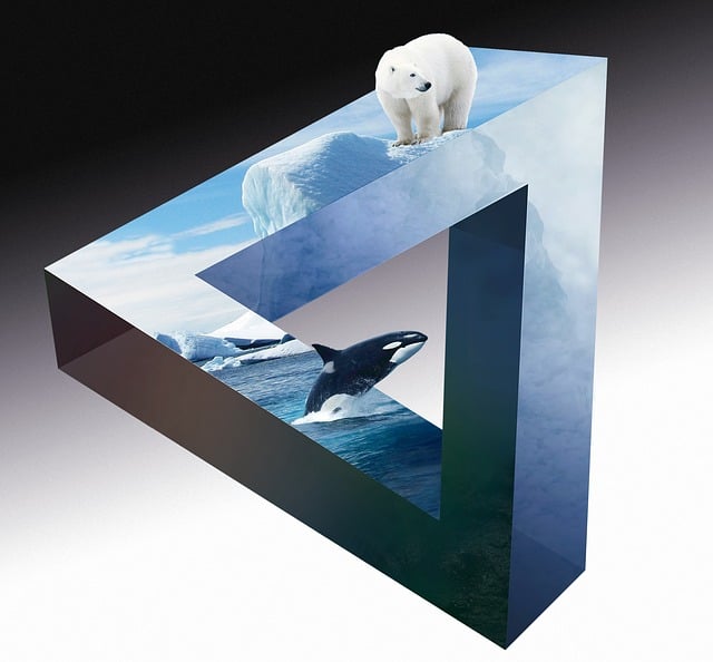 Download free HD stock image of Icebear Whale Free icebear whale orca illustration