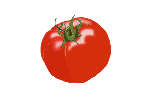 Free Tomato Vegetable illustration and picture