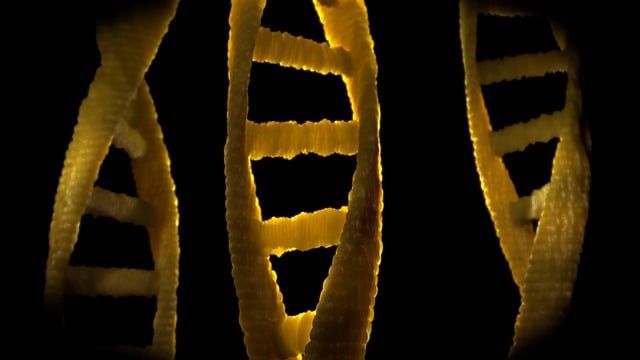 Free dna dns biology illustration