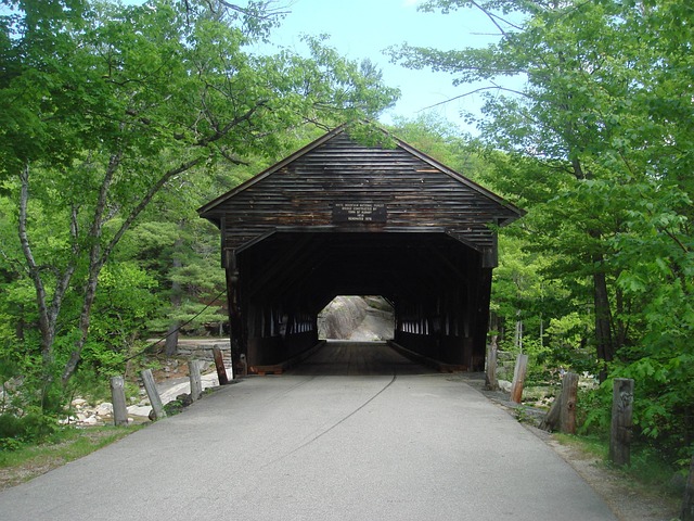 Free Us Bridge photo and picture