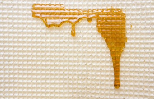 Free Honey Waffles photo and picture