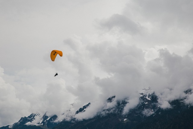 Schweiz, Paragliding, Schweizisk, Bjerg