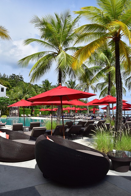 Free Hotel Palm Trees photo and picture