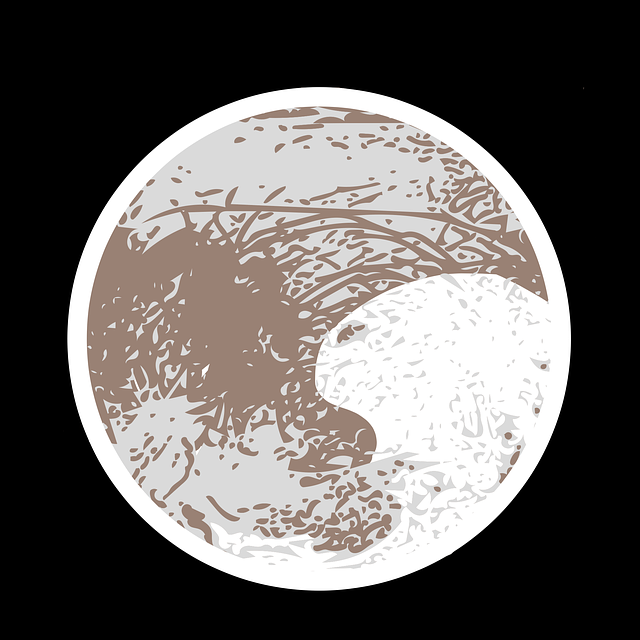 Free Moon Europe illustration and picture