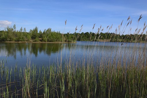 Free Lake Water photo and picture
