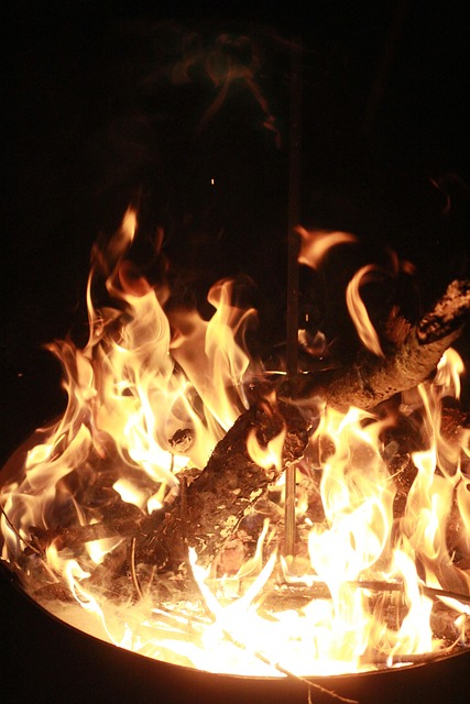 Free Fire Flame photo and picture