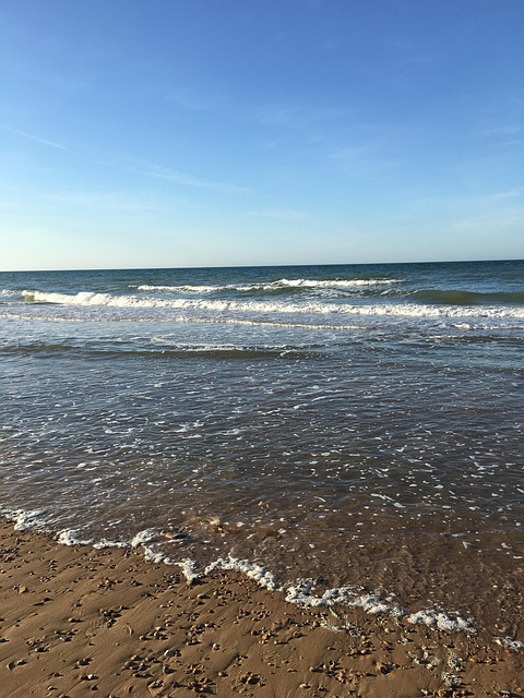Free Sea Coast photo and picture