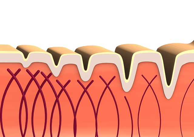Free fulminan beautiful skin collagen illustration