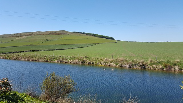 Free Countryside Hillside photo and picture