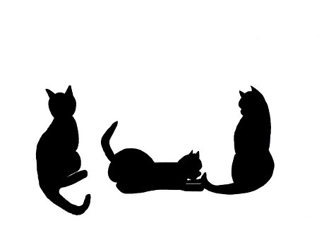 Gatos, Os Gatos Pretos, Preto