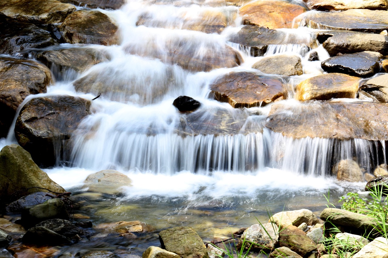 냇물 개울 자연 - Pixabay의 무료 사진 - Pixabay