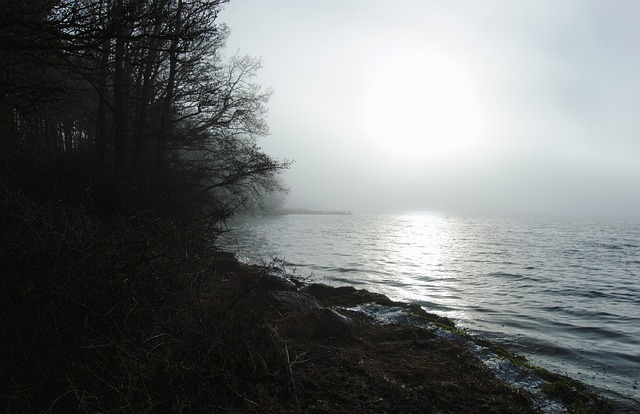 Free Sea Fog photo and picture