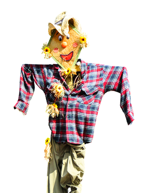 Free scarecrow protection woman of straw illustration
