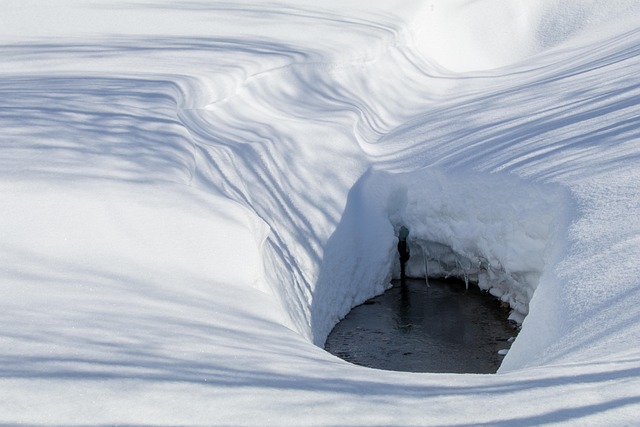 Free Winter Snow photo and picture