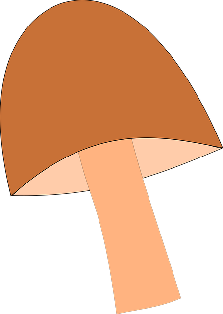 Free Mushroom Forest vector and picture