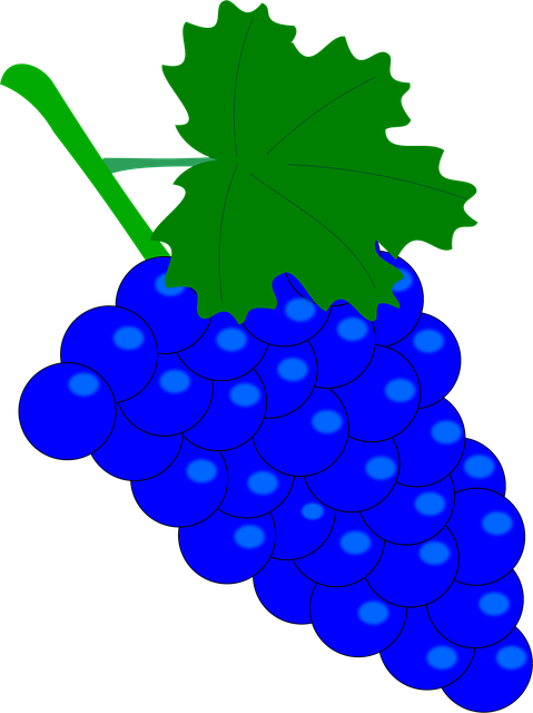 Free Grape Vintage vector and picture
