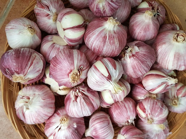 Free Garlic Strength photo and picture