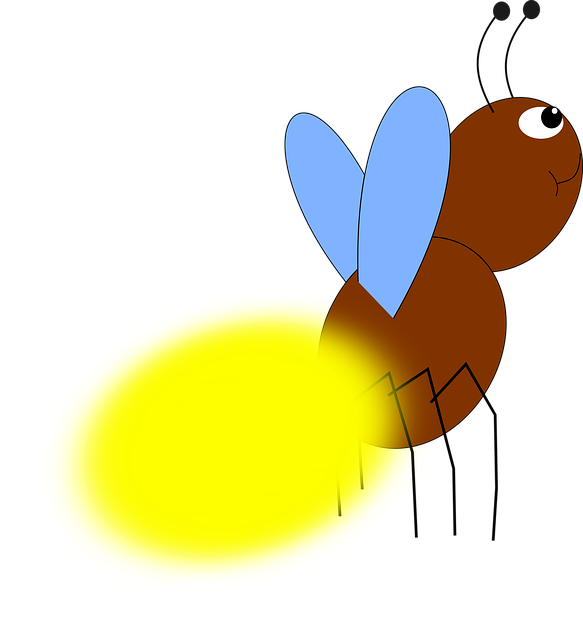 Free Firefly Beetle vector and picture