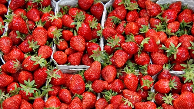 Erdbeeren, Frucht, Früchte, Rot, Obst