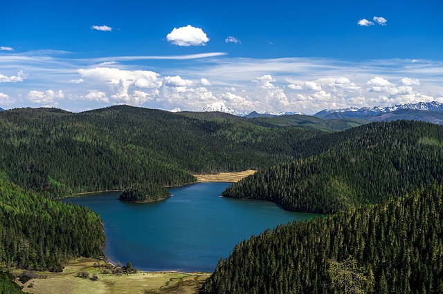 Free Blue Sky Nature photo and picture
